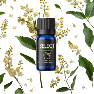 Aromat Spożywczy - Czarny Bez