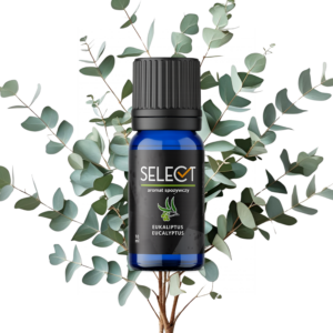 Aromat Spożywczy - Eukaliptus