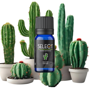 AROMAT SPOŻYWCZY DO CIAST NAPOJÓW SELECT - KAKTUS