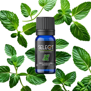 AROMAT SPOŻYWCZY DO CIAST NAPOJÓW SELECT - MIĘTA OGRODOWA